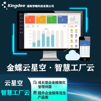 財(cái)務(wù)軟件硬件系統(tǒng)研發(fā) 構(gòu)建高效、安全與可靠的財(cái)務(wù)數(shù)字化基石